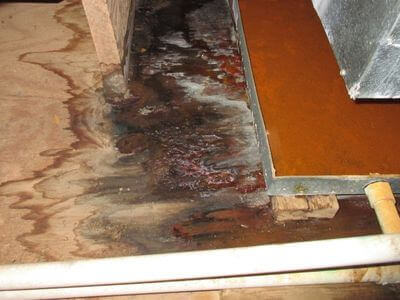 About Water Damage Restoration Gililland - water damage restoration experts in Gililland